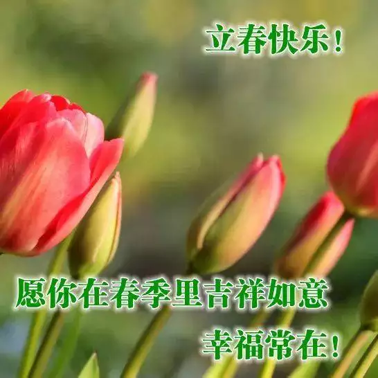 立春哪些屬相要避春：年立春犯沖屬相