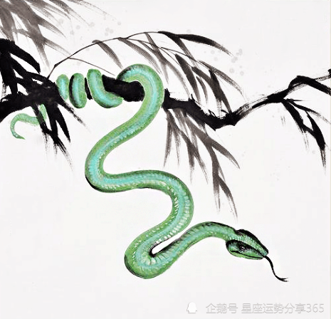 屬蛇和什麼屬相合作夥伴合財：屬蛇和屬豬結婚後財運好嗎