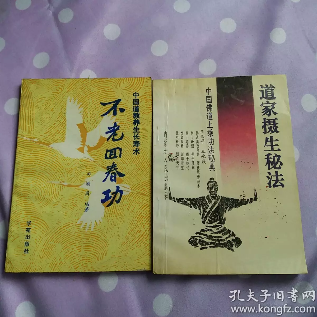 辛巳年丁酉日甲申日己巳時，問詢是否適合下海經商，大運流年有什麼需要注意的？