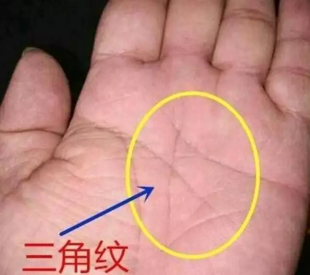 1、手相圖解大全男:男人右手斷掌手相圖解