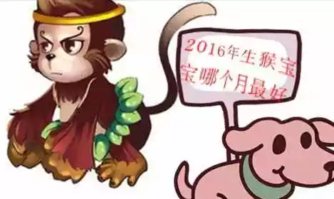 屬猴和什麼屬相的孩子：我和老公都屬猴，生個什麼屬相的孩子好？