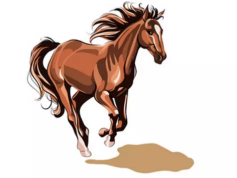十二生肖屬馬與哪個屬相相衝：馬跟什麼屬相衝