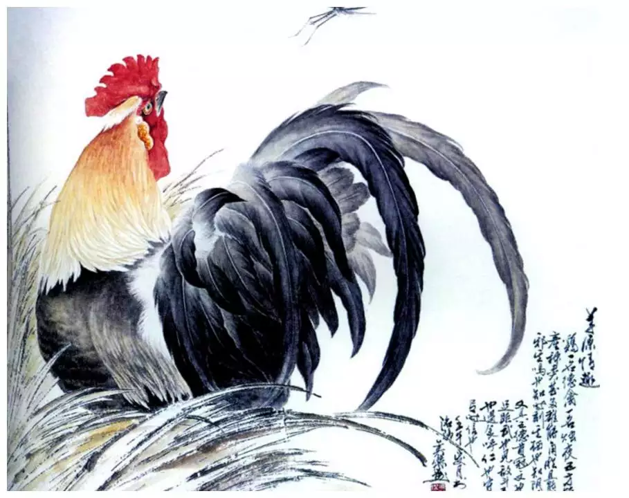 69年屬雞男與哪種屬相：男69年屬雞好嗎?