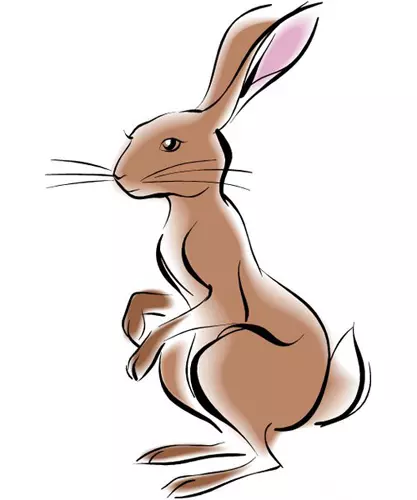 請問 十二生肖里 眼睛大的動物是什麼 只要十二生肖里的 急速回答