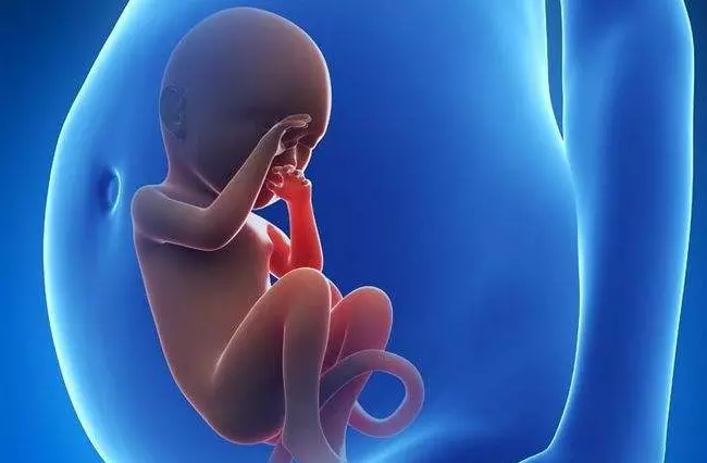3、年生兒子的時間:女性一年的時間，你知道是什麼時候嗎？