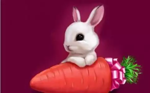 屬兔的人碰到牛年好不好：屬牛的和屬兔的能配合嗎