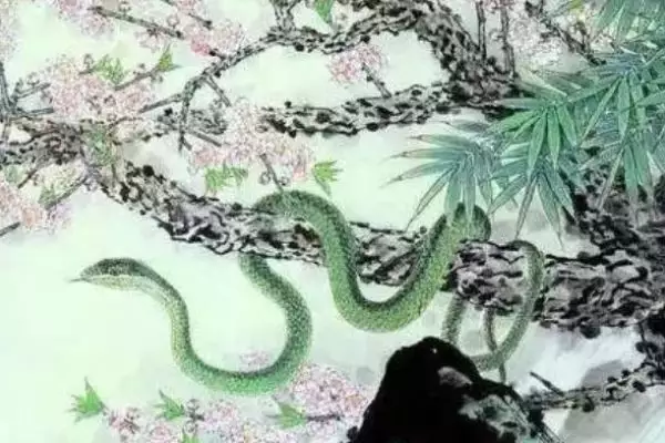 3、屬蛇適合投資做生意嗎:屬蛇人年添丁