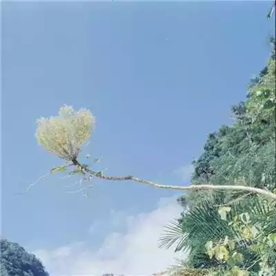 帶來好運的微信頭像圖片男生：男生的微信頭像，用什麼好？