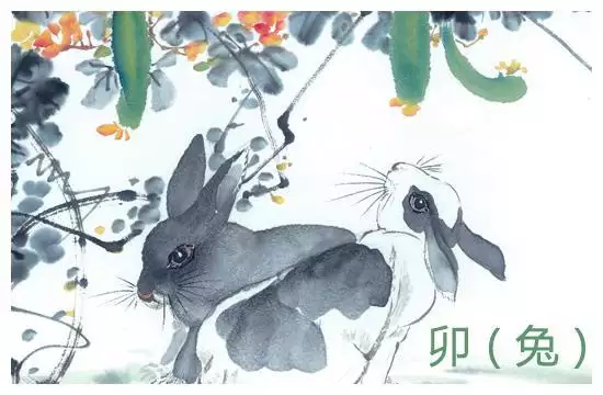 屬兔的今年運勢：年屬兔人的全年運勢如何？
