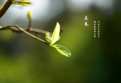 屬相是月朔照樣立春劃分：屬相從立春照樣月朔