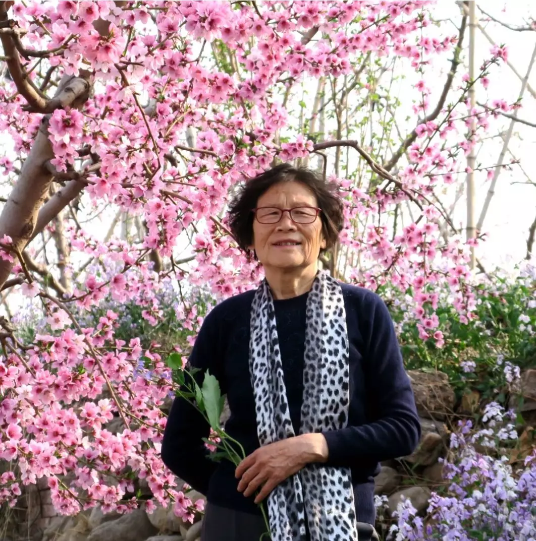 年屬牛人桃花：屬牛男桃花運每月好嗎