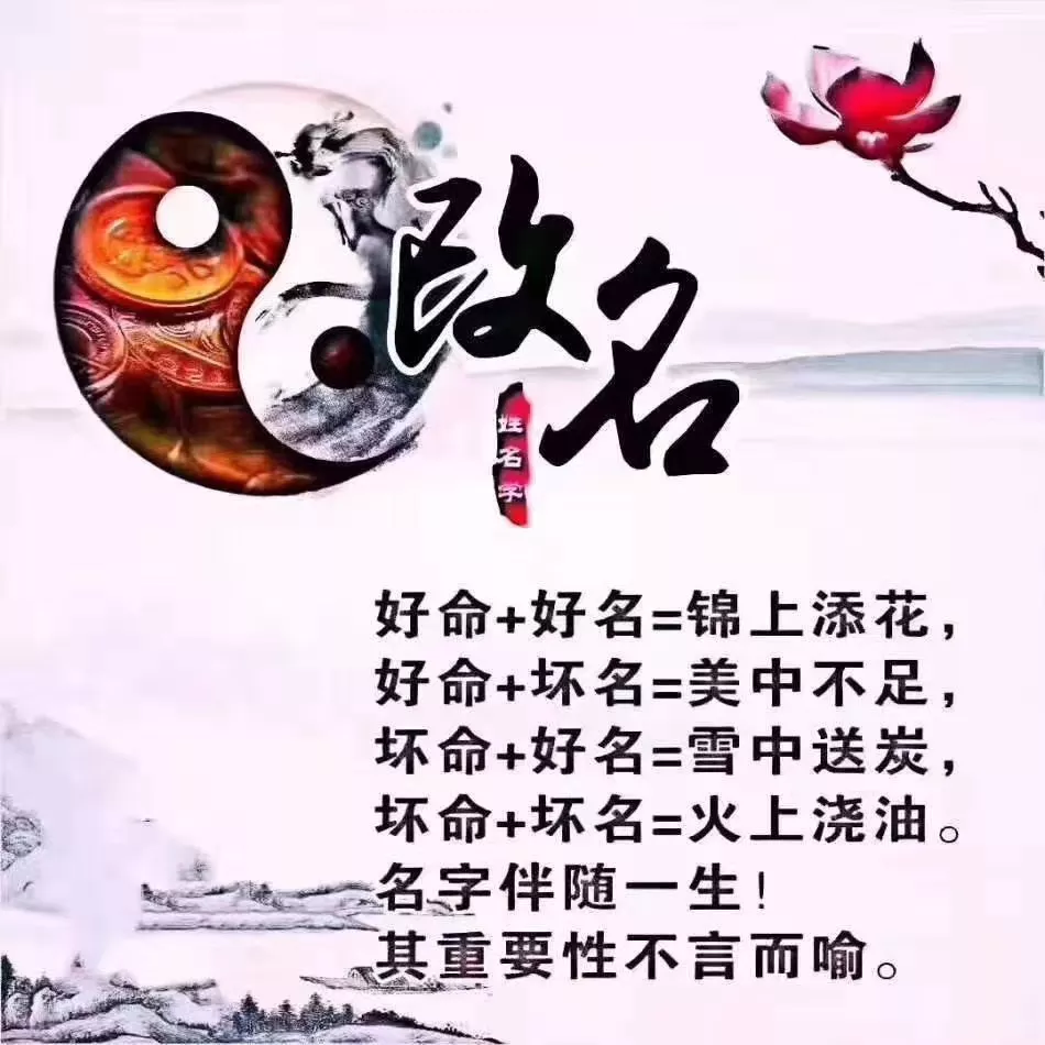 十二屬相年運勢及運程：年生肖運勢大全