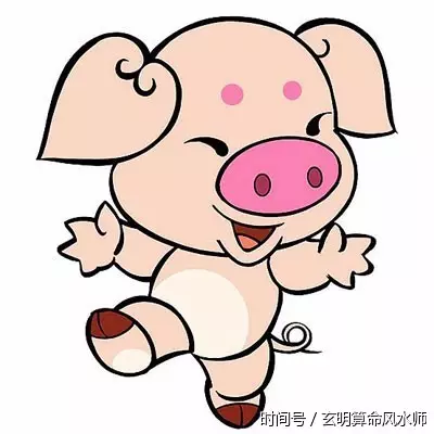 屬豬的屬相婚配表，屬豬的和什麼屬相最配，屬豬的屬相婚配表大全