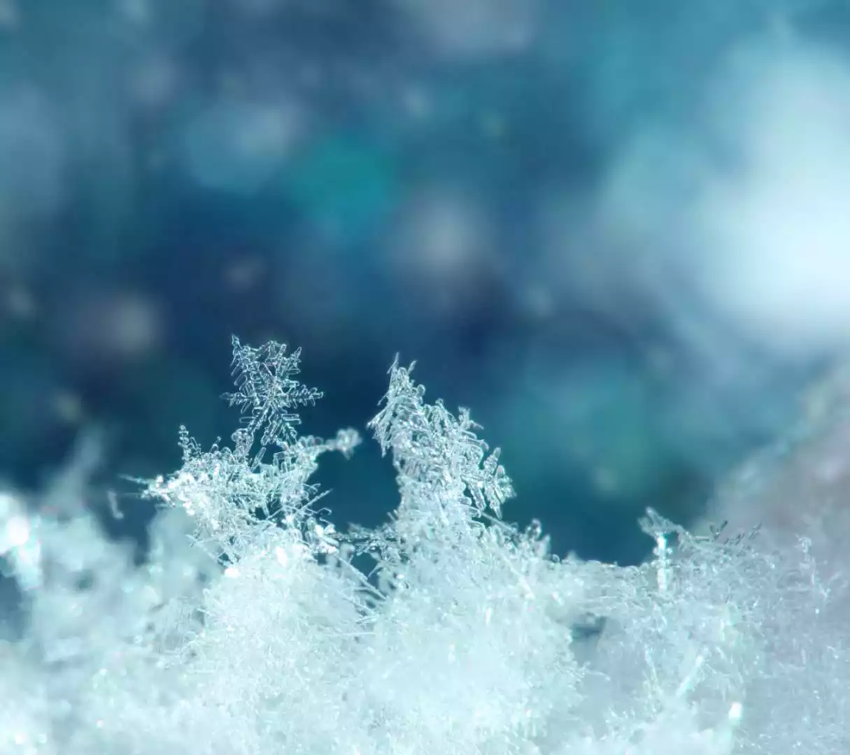 雪花飄飄一片白是什麼屬相：雪花啤酒品質怎麼樣？