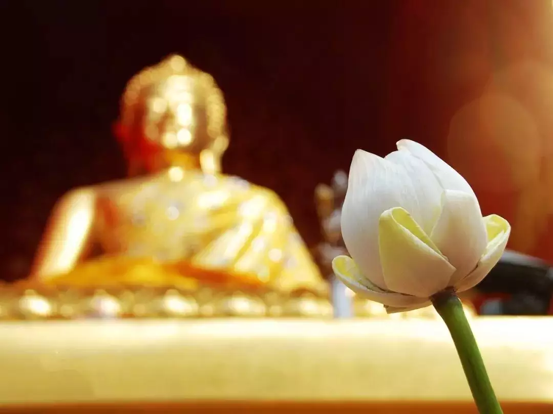 5、前世姻緣今生會有結果嗎:前世姻緣今生續這種說信嗎？人真的有前世姻緣嗎