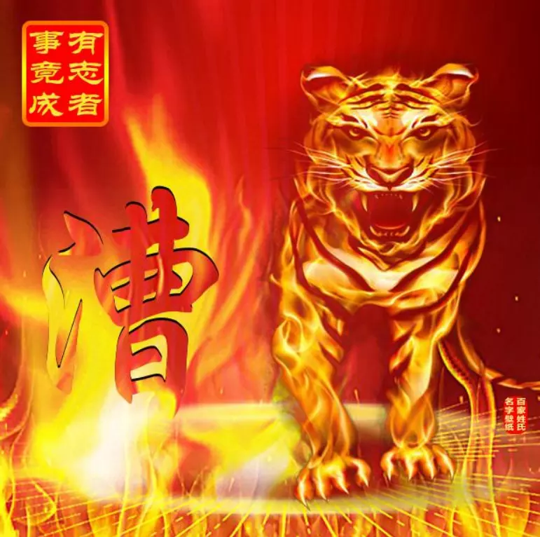 屬虎今年帶什麼東西好：屬虎的人佩戴什麼好