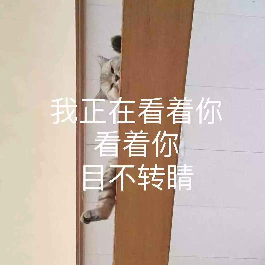 3、女人芳齡幾何,是否婚配?若心上別無他人,小生願以一世清白之身換取女人一生幸！