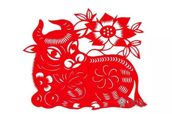 屬相是木的人可以穿紅色系列的衣服嗎？紫色屬於金木水火土的哪一行？