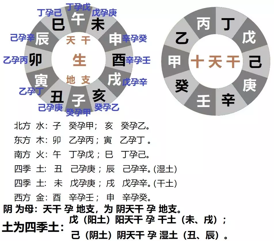 2、乙木遇什麼地支大貴:天干乙木地支有未辰倆地支還能作從財格看嗎？