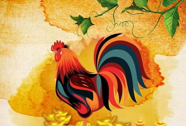 屬雞的屬相一直犯太歲嗎：屬雞的人今年犯太歲