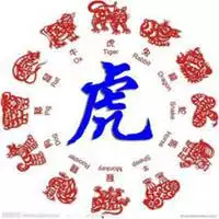 2、今年虎年運勢:今年屬虎的運氣如何