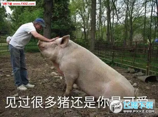 1、豬跟豬娶親配不配合不合:屬相婚配：男屬豬和女屬豬相配嗎