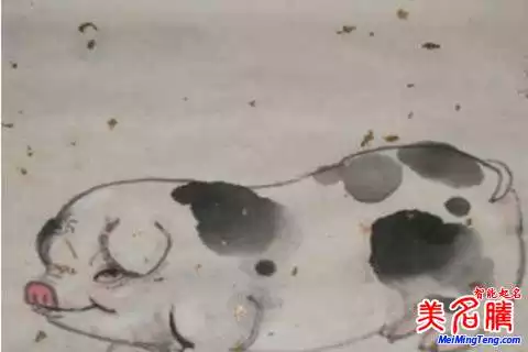 羅姓男孩名字大全屬豬：求羅姓男孩的名字
