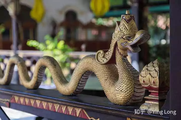 1、屬女龍和男蛇的婚配怎麼樣:屬蛇和屬龍相配嗎？