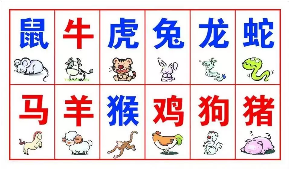 3、馬與龍屬相婚配:屬龍和屬馬相配嗎?