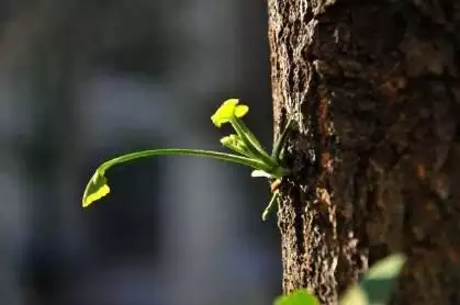 2、心理測試正緣:想要一個心理測試……很準的那種，長一點的！愛情方面的