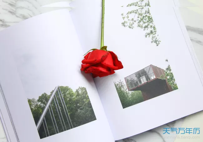 3、請問：破日結婚怎麼辦啊？年 02月 29日 農曆 二月 08日，已確定了。我該怎麼啊？