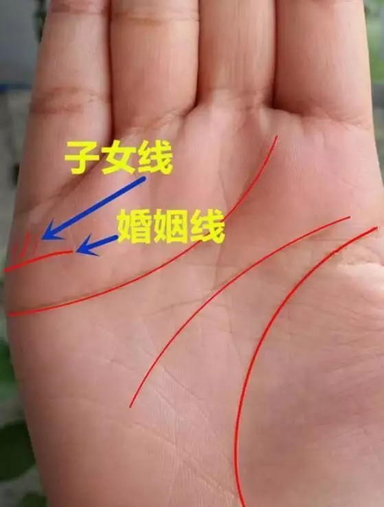 4、算命先生說我命中註定有二婚，命中有三個孩子！一個為我和前妻的！一個為二婚老婆帶過來的！