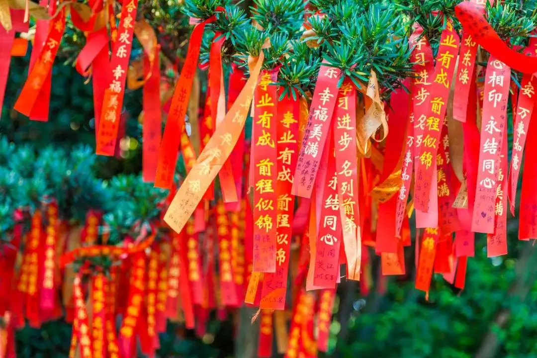 5、帶來好運壁紙超靈財運:手機壁紙什麼招財好？