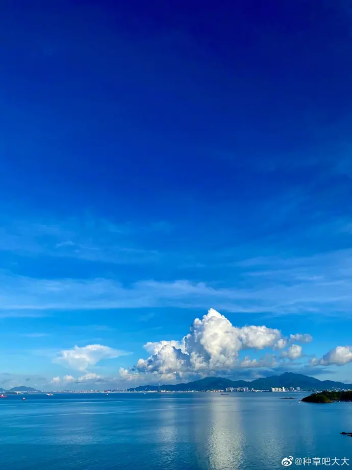 4、我工具是82年的大海水命.我是83年的大海水命.我倆娶親好嗎
