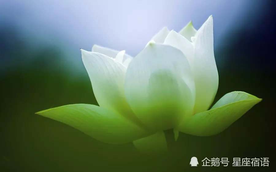 年五行屬水還是木：年在五行中屬什麼