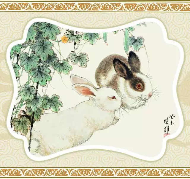 2、年屬兔年多大:屬兔年多大年齡