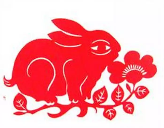 什麼屬相旺兔子的財運：什麼生肖旺兔子？