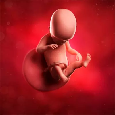 九個最准懷男孩徵兆清宮圖的算法：清宮圖跟生男生女計算方法准嗎