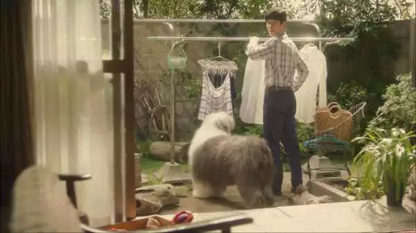 3、屬狗女和屬猴男有婚配嗎:屬猴男與屬狗女相配上