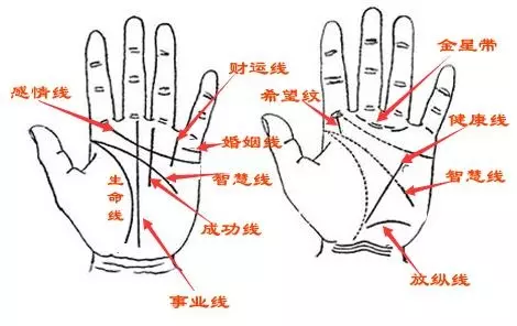 2、婚姻線是哪條:手上怎樣分辨哪一條是姻緣線