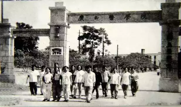 年屬相是什麼：年屬什麼生肖?年是什麼年?