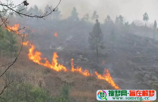 4、男山頭火命女澗下水命能婚配嗎:澗下水命和什麼命相配
