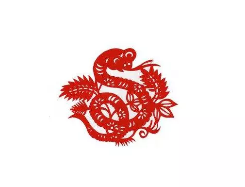 1、屬蛇未來5年運勢走向:年屬蛇人的全年運勢