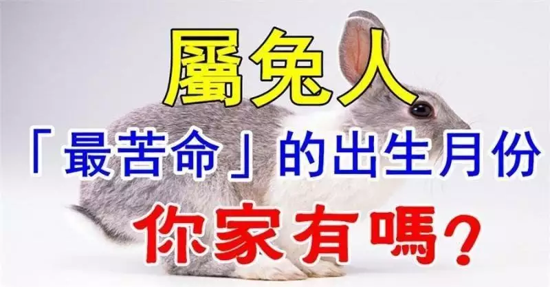 屬兔人命里最苦的出生月份：屬兔人的“最薄命”和“最好命”的出世月份有哪些？
