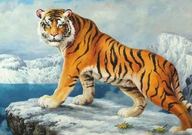 3、生肖中虎好像很特別 很多人都不願意在虎年生孩子 為什麼會這樣啊 希望說詳細點