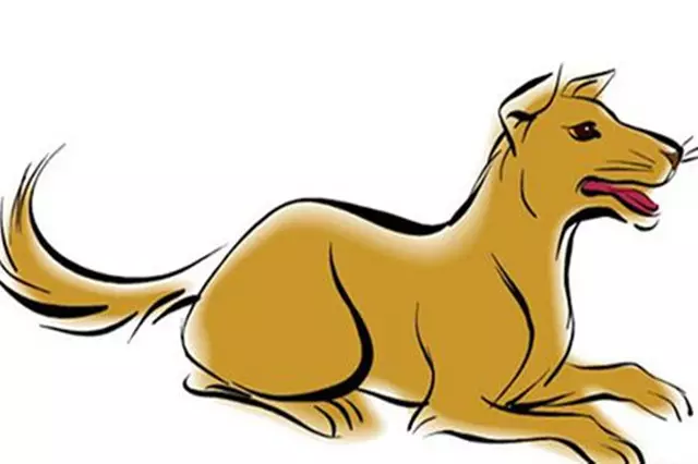 2、屬猴男屬狗女婚配若何:，屬猴男和屬狗女，可以在一起嗎