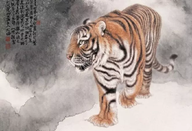 豬男虎女相配的姻緣好嗎：屬豬男和屬虎女配嗎