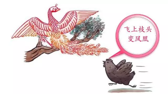 屬相雞時辰屬雞出生人好嗎：屬雞的人什麼時辰出生最好