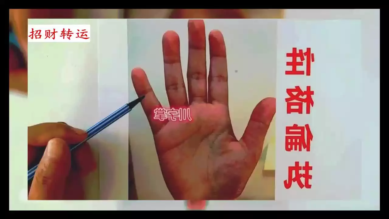 4、婚姻線圖解大全:婚姻線圖解