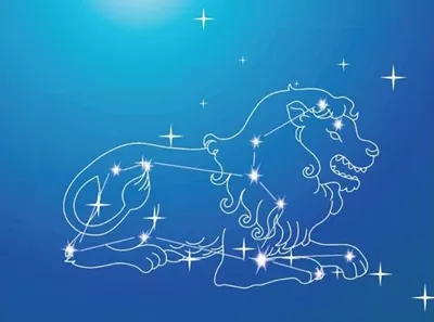 1、97年獅子男婚配什麼屬相星座女:獅子座男生和什麼星座女生最配
